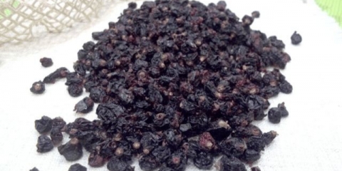 Kako sušiti bobice ribizle kod kuće